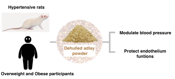 Figure 1: Dehulled adlay is a local Taiwanese whole grain crop, the intake of which has beneficial effects for lipid metabolism and inflammatory responses