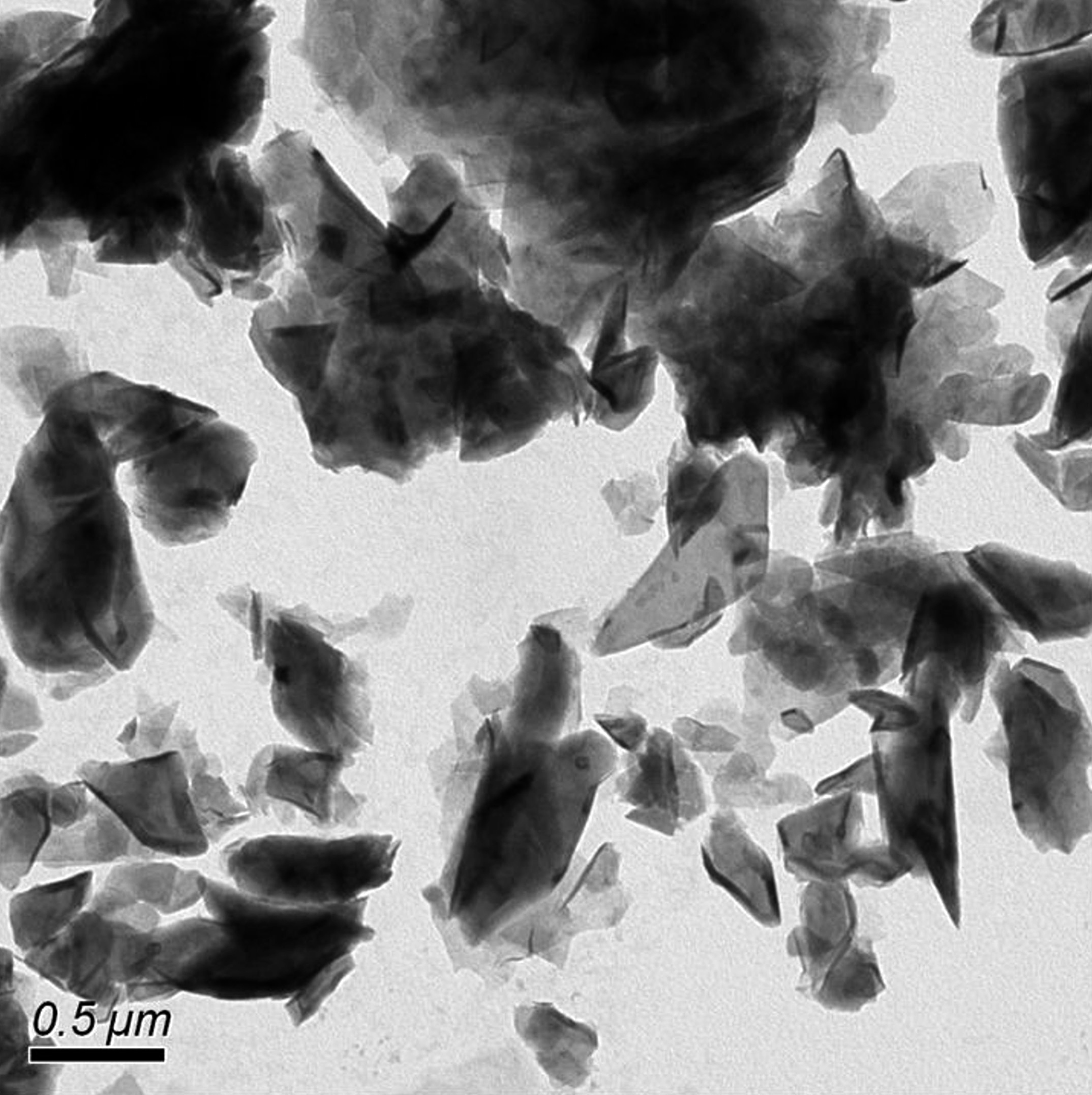 圖一：奈米碳的TEM影像。