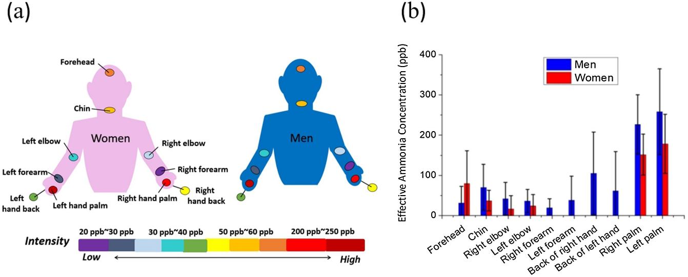 圖三：(a)男性與女性皮膚氣味檢測示意(b)等效濃度高低分佈