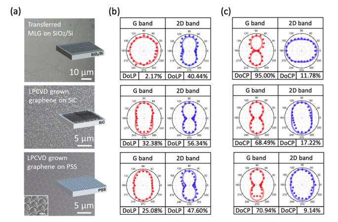 圖1：石墨烯在不同基板上的偏振解析拉曼強度極座標圖。(a) 石墨烯在SiO2/Si , SiC, 和PSS的光學顯微鏡影像，及示意圖，左下角為掃描式電子顯微鏡影像圖。(b) 石墨烯在不同基板上拉曼特徵鋒(G-band和2D-band)的偏振拉曼極座標圖，其中入射光為線偏振光。(c) 石墨烯在不同基板上拉曼特徵鋒(G-band和2D-band)的偏振拉曼極座標圖，其中入射光為圓偏振光。