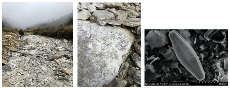 圖1：（左）乾涸河道上遍布白色死亡的藻類與（中）其近照及（右）電子顯微鏡下的矽藻