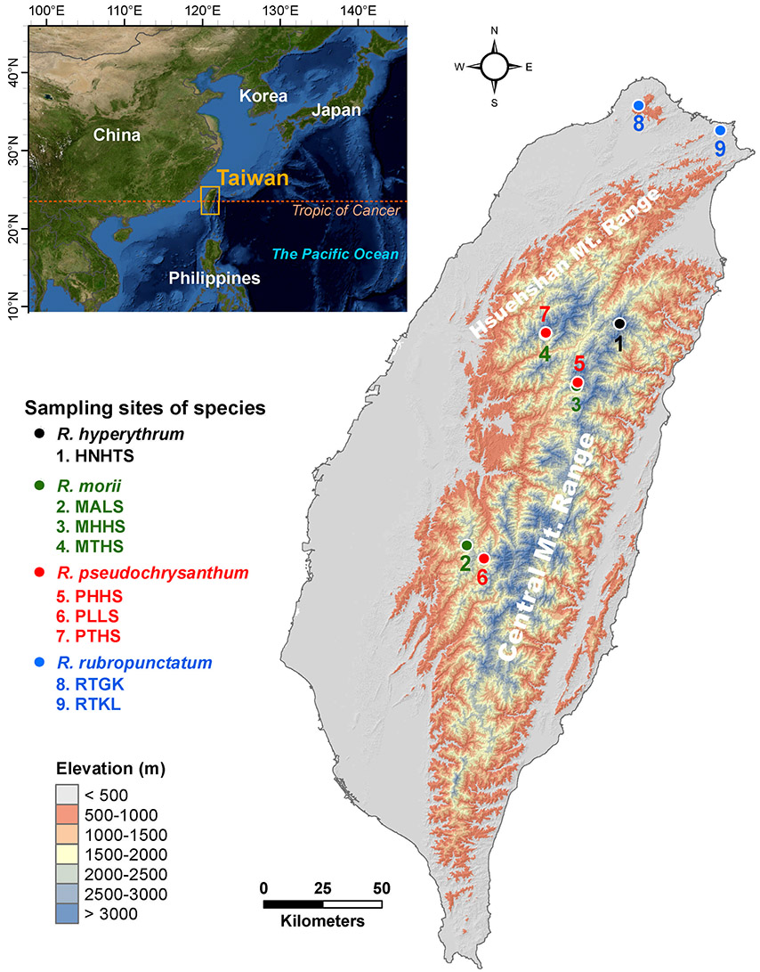 圖一：玉山杜鵑複合群四個近緣種於臺灣的分布