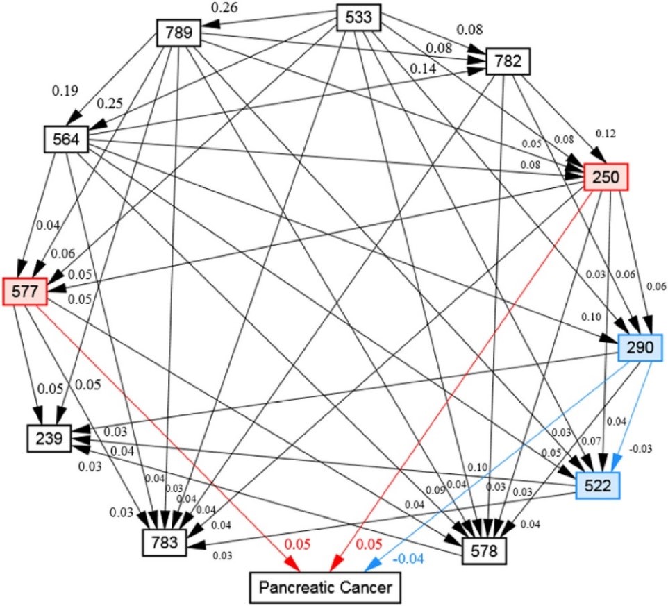 圖1：胰臟癌首次診斷1年以前相關疾病的路徑分析模型。紅線和藍線分別表示先前疾病與胰腺癌的正負相關性。國際疾病分類第九修訂版代碼顯示在方框中。