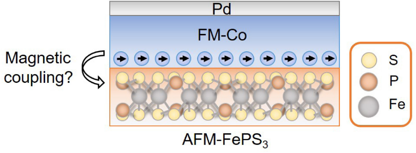 圖一：樣品結構示意圖：Pd/Co雙層奈米薄膜蒸鍍在機械剝離的FePS3基底之上。