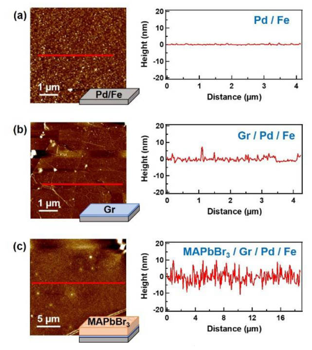 圖二：(a)2nm Pd/10 nm Fe、(b)單層Gr/2nm Pd/10 nm Fe、(c)107nm MAPbBr3/單層 Gr/2nm Pd/10 nm Fe薄膜之原子力掃描顯微影像。以上結果清楚顯示當鈣鈦礦被旋塗到Gr層上時，會形成連續薄膜。